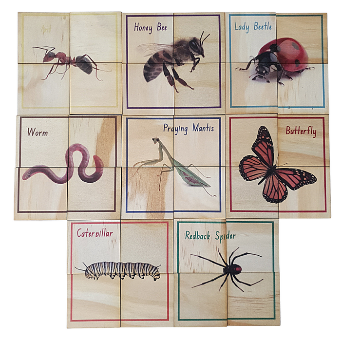 Bugs Puzzle