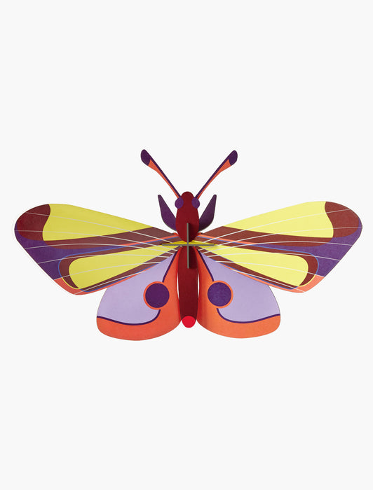 Purple Eyed Butterfly