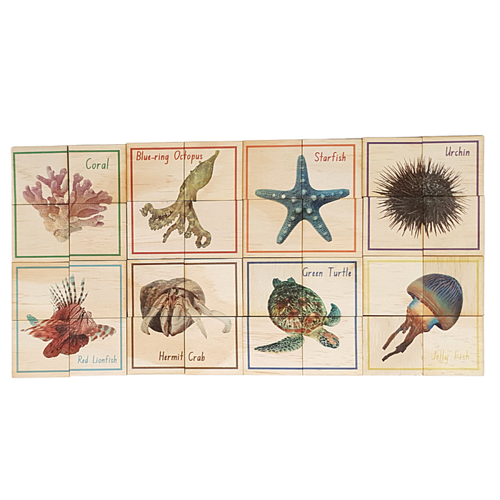 Australian Sea Life Puzzle