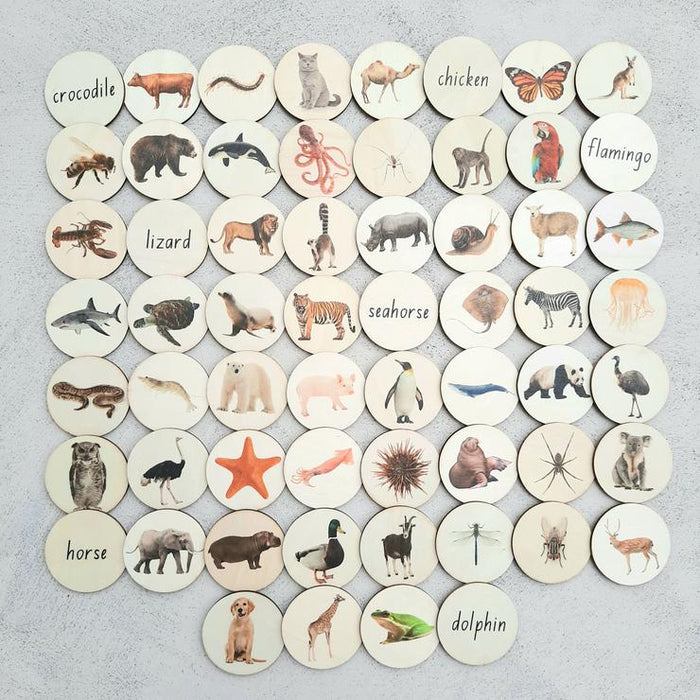 Animals Sorting Board